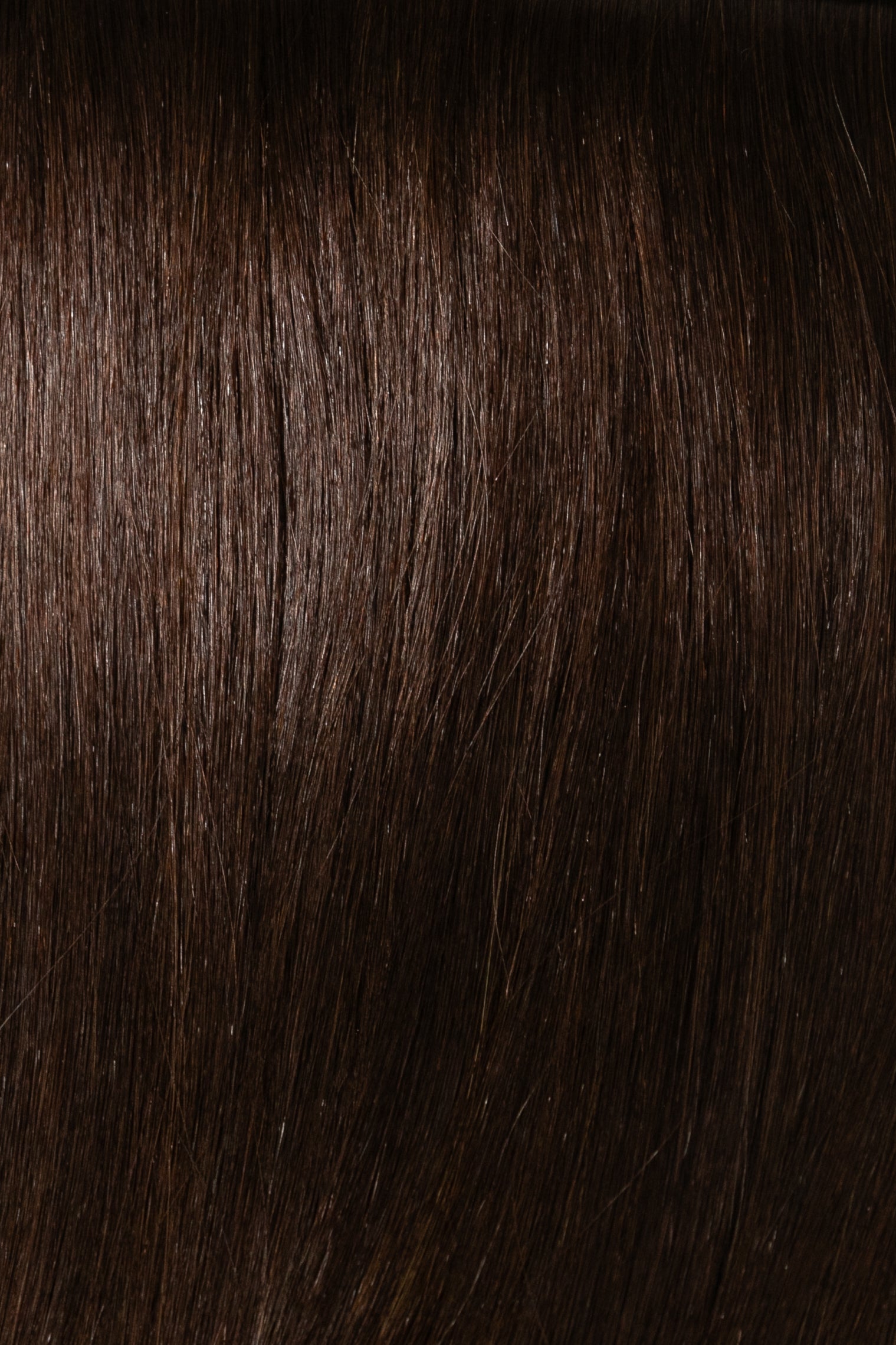 Elevated Hybrid Weft Collection