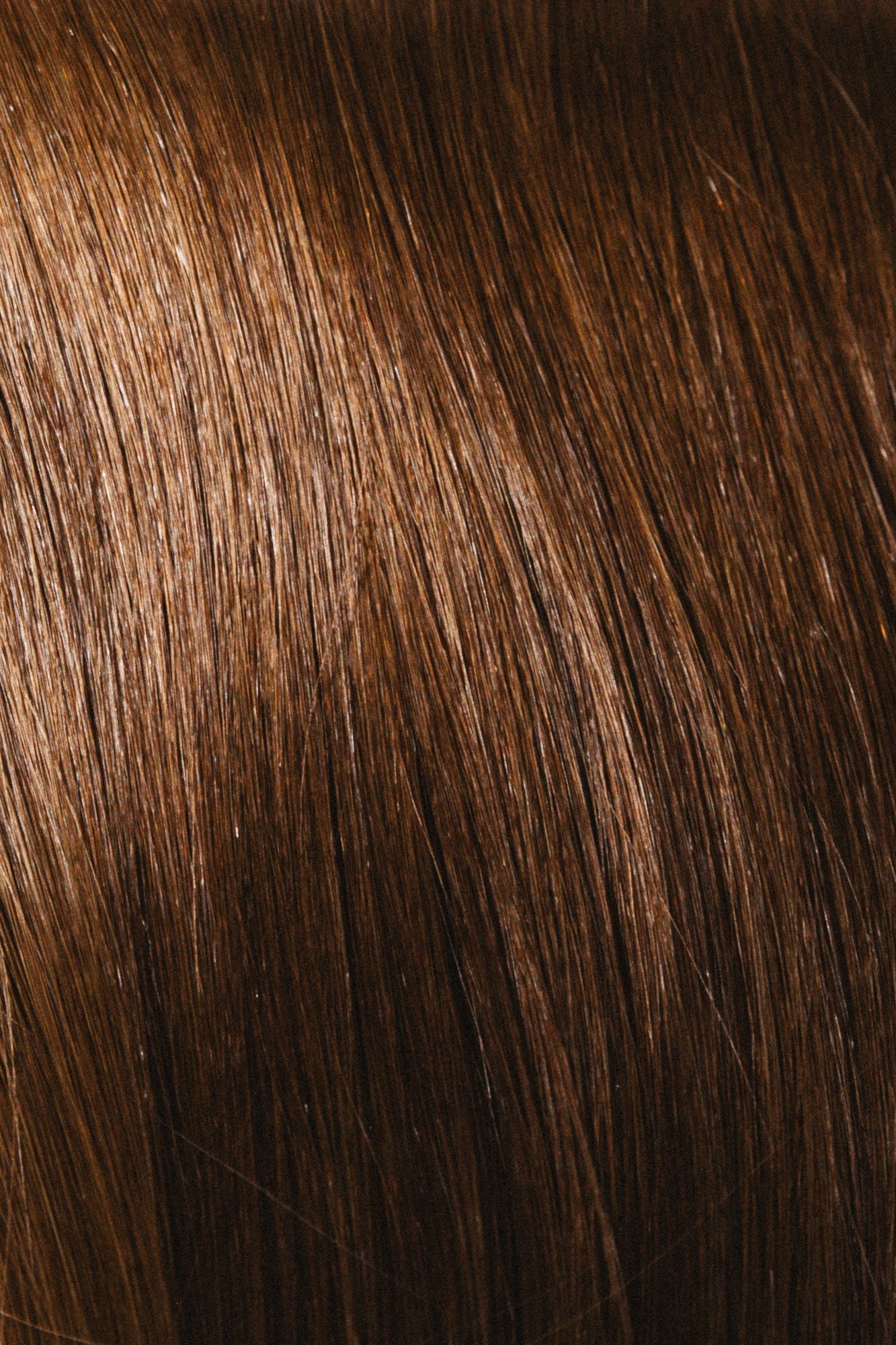 Elevated Hybrid Weft Collection