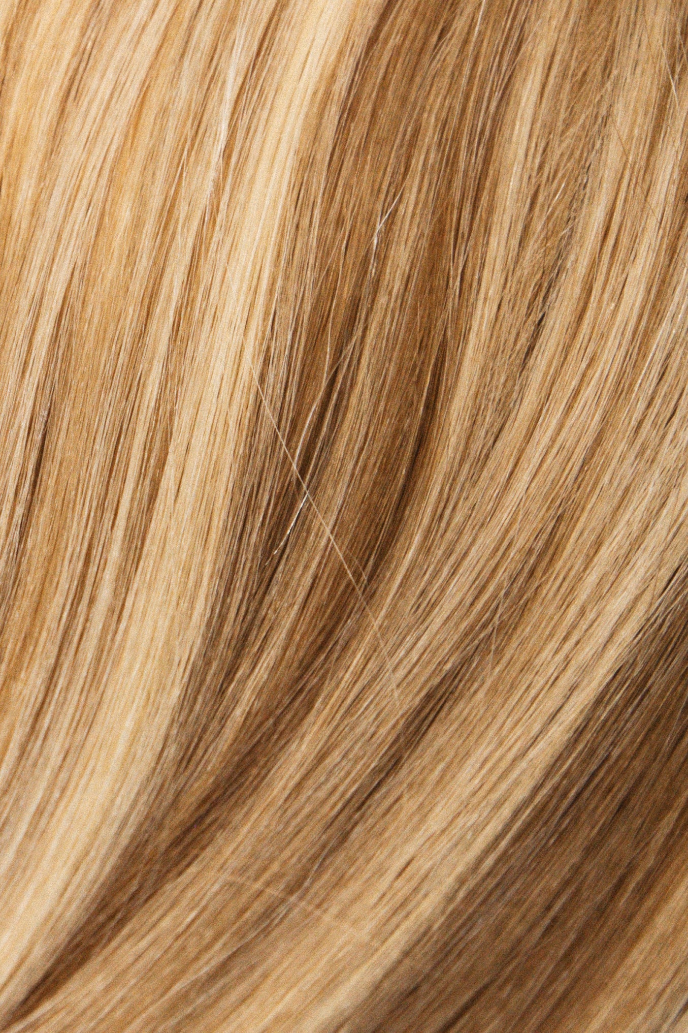 Elevated Hybrid Weft Collection